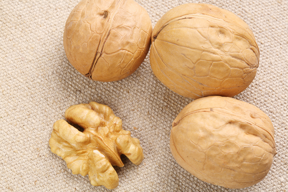 静物核桃核桃仁图片 静物核桃核桃仁图片