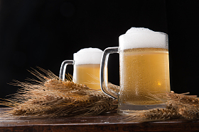 静物啤酒麦穗图片