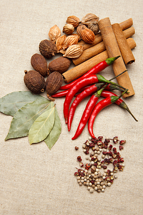 各种调味品图片