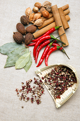 各种调味品图片