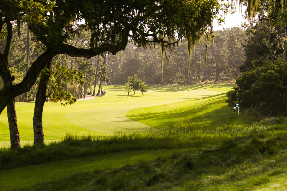 高尔夫球场 高尔夫球场