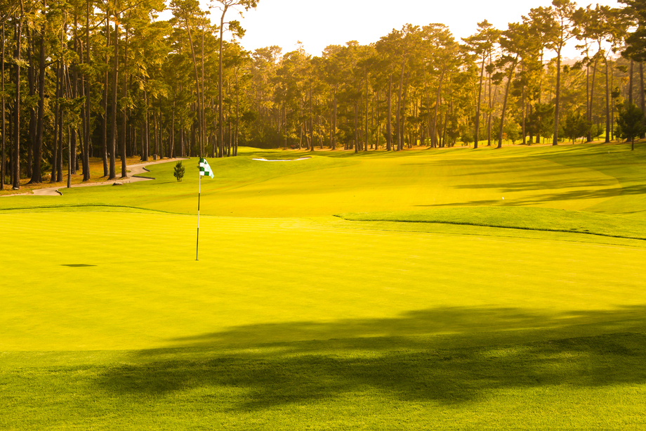 高尔夫球场 高尔夫球场