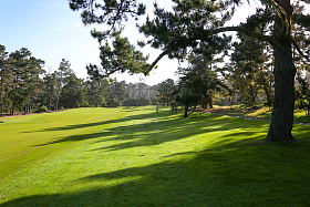 高尔夫球场图片