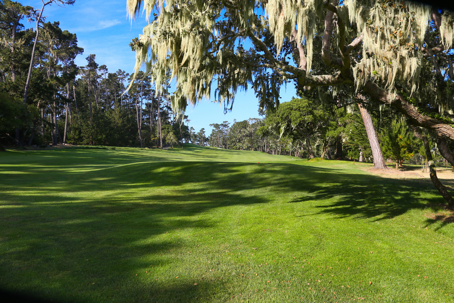 高尔夫球场 高尔夫球场