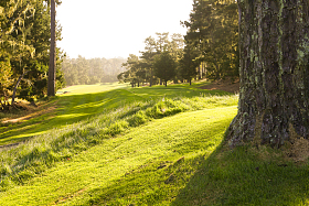 高尔夫球场图片