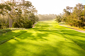 高尔夫球场照片
