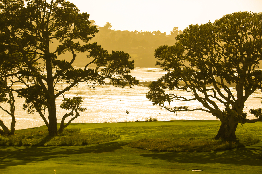 高尔夫球场 高尔夫球场