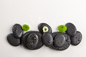 鹅卵石与菊花照片