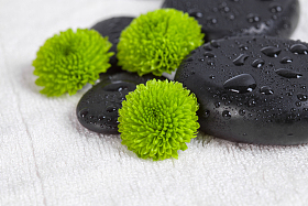 鹅卵石与菊花图片