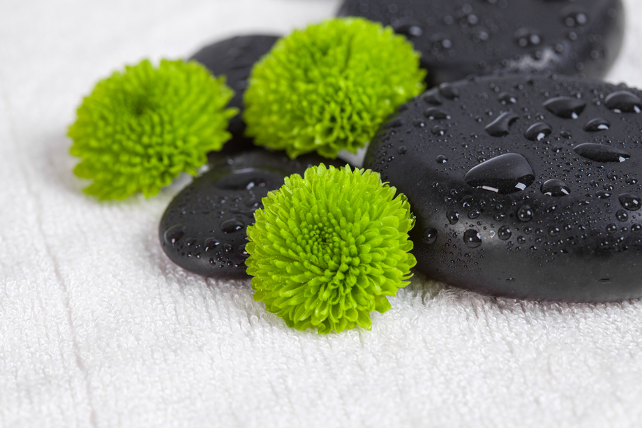 鹅卵石与菊花图片 鹅卵石与菊花图片