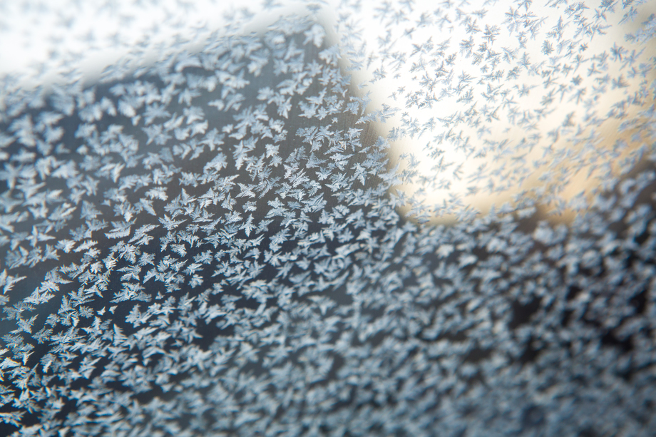 冰花图片 冰花图片