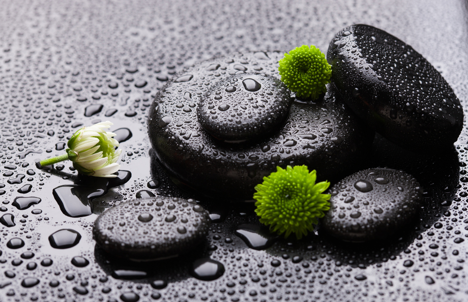 鹅卵石与菊花 鹅卵石与菊花