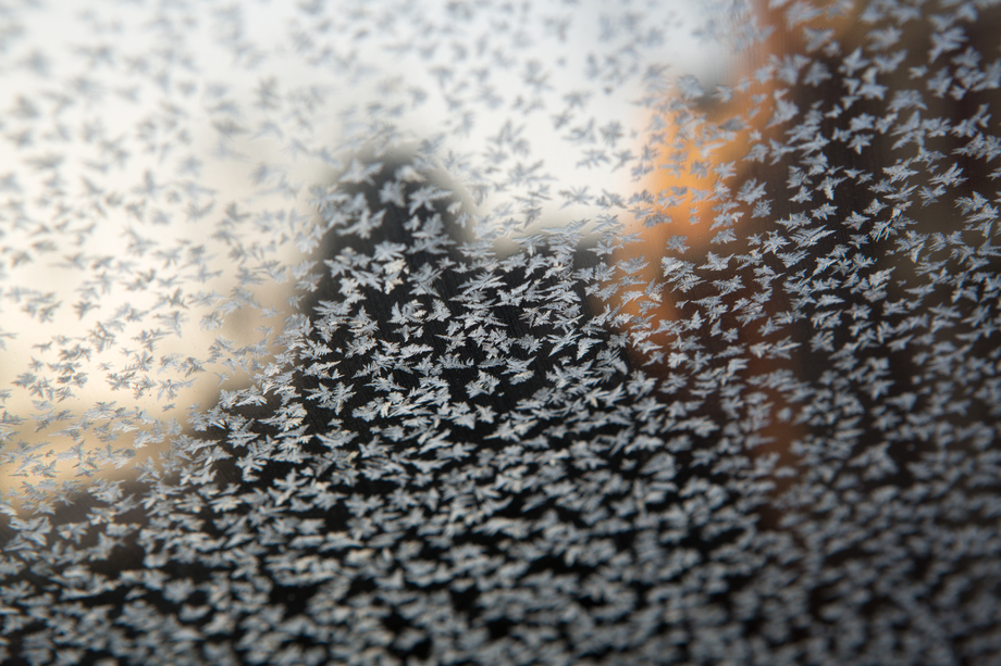 冰花图片 冰花图片