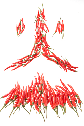 红辣椒照片