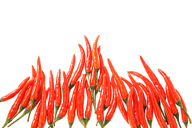 红辣椒图片
