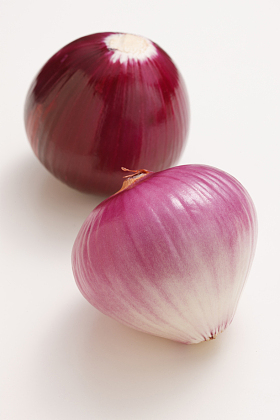 洋葱图片