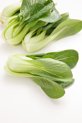 油菜图片