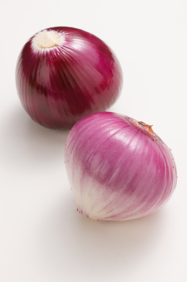 洋葱图片
