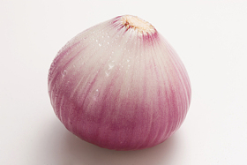 洋葱图片