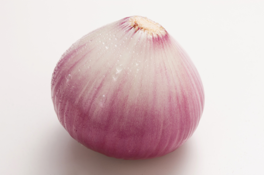 洋葱图片 洋葱图片