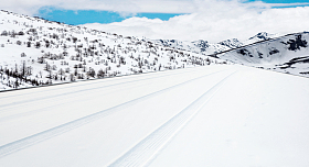 被雪覆盖的公路图片