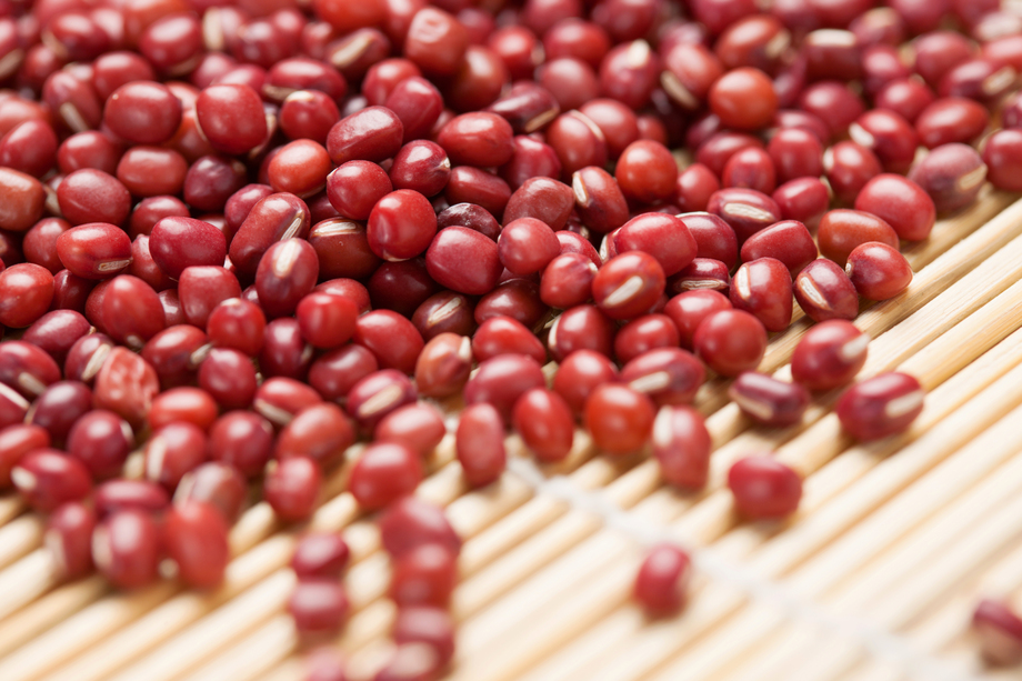 红豆图片 红豆图片