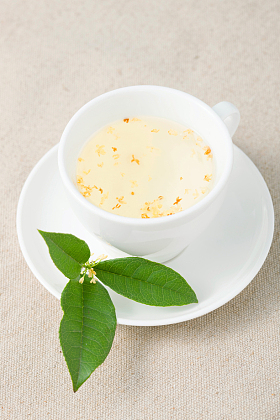 桂花茶图片