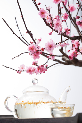梅花茶具图片