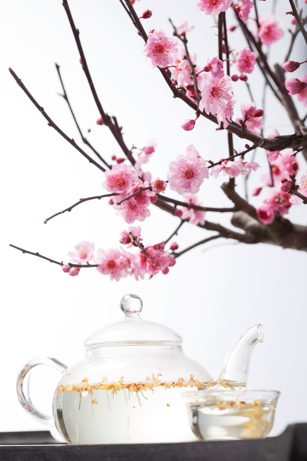 梅花茶具图片