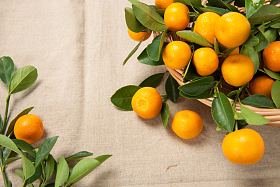 桔子照片