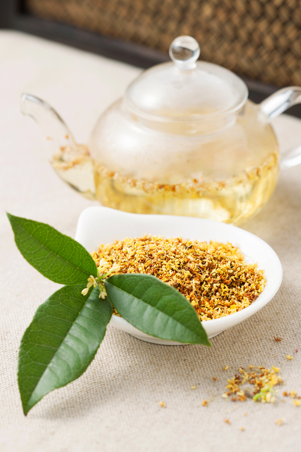 桂花茶图片