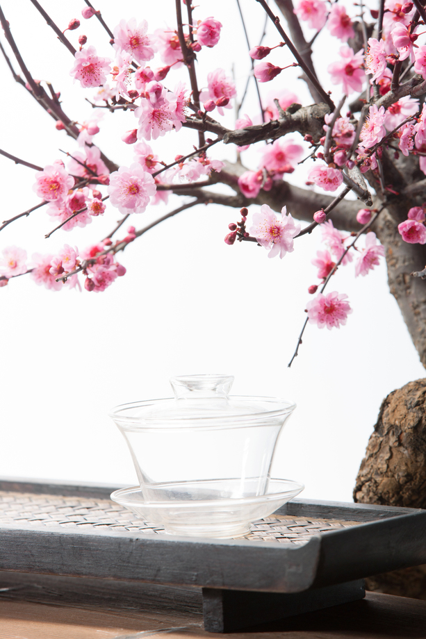 梅花图片 梅花图片