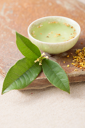 桂花茶图片