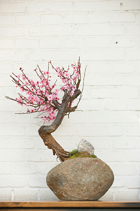 梅花