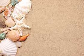 沙滩贝壳