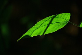 北京风光