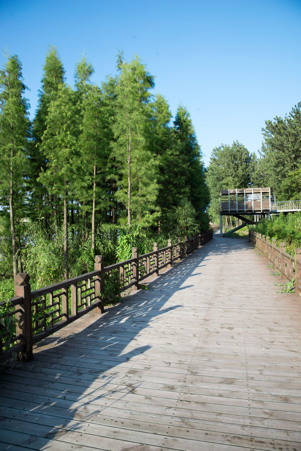 江苏省淮安淮河老街照片 江苏省淮安淮河老街照片