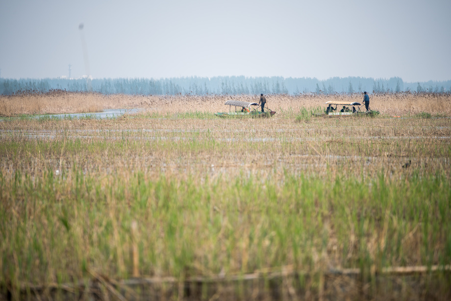 河北省雄安新区白洋淀图片 河北省雄安新区白洋淀图片