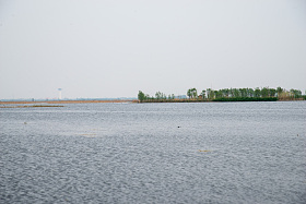 河北省雄安新区白洋淀图片