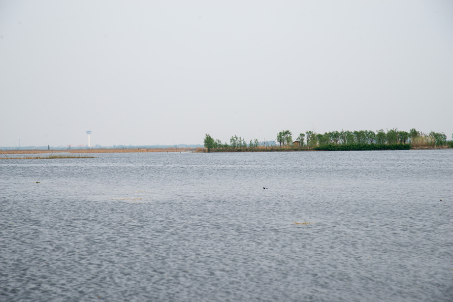 河北省雄安新区白洋淀图片