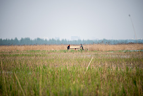 河北省雄安新区白洋