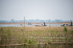河北省雄安新区白洋