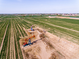 河北省任丘油田