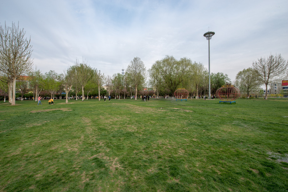 草地照片 草地照片