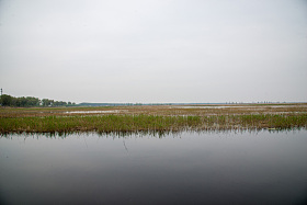 河北省雄安新区白洋淀图片
