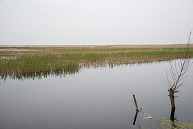 河北省雄安新区白洋