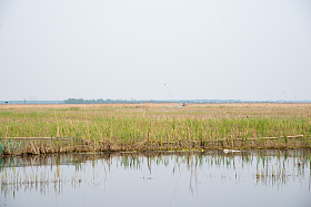 河北省雄安新区白洋淀图片