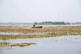 河北省雄安新区白洋
