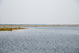 河北省雄安新区白洋