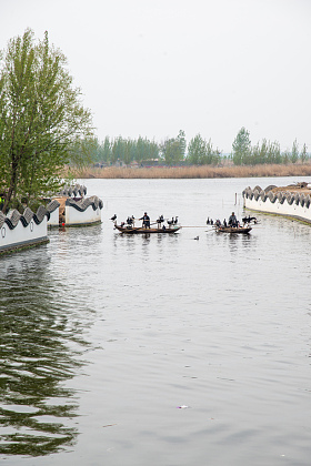 河北省雄安新区白洋淀图片